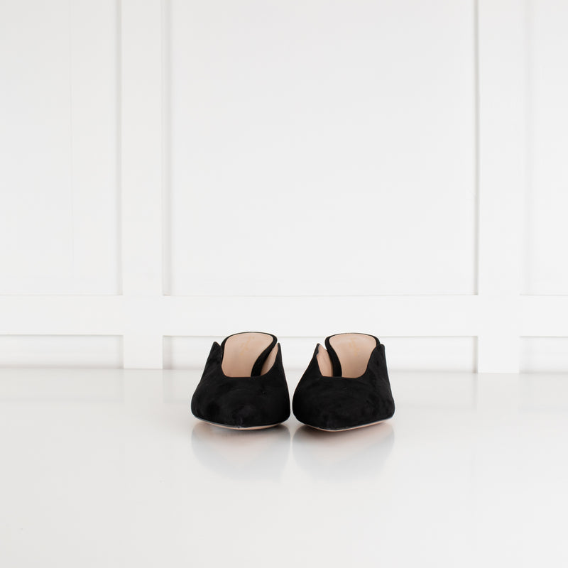 Gianvito Rossi Black Suede Pointed Toe Mules