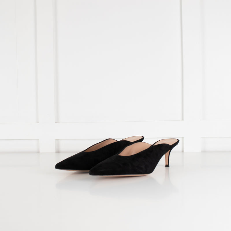 Gianvito Rossi Black Suede Pointed Toe Mules