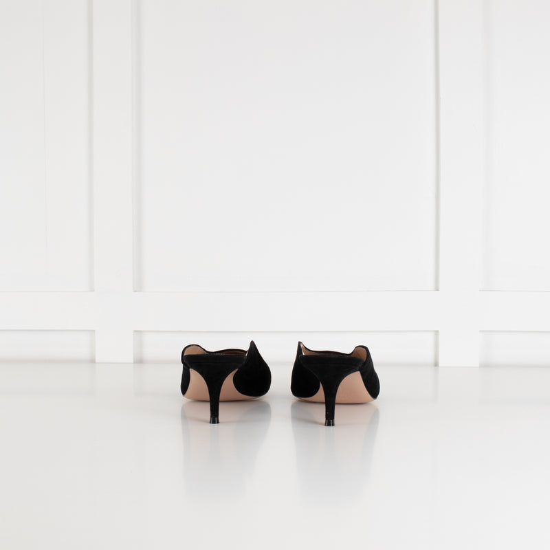 Gianvito Rossi Black Suede Pointed Toe Mules