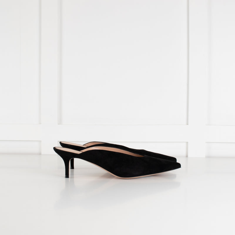 Gianvito Rossi Black Suede Pointed Toe Mules