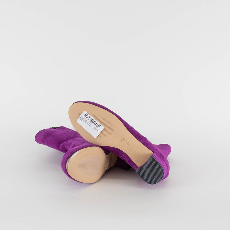 Clizia Purple Suede Ankle Boots