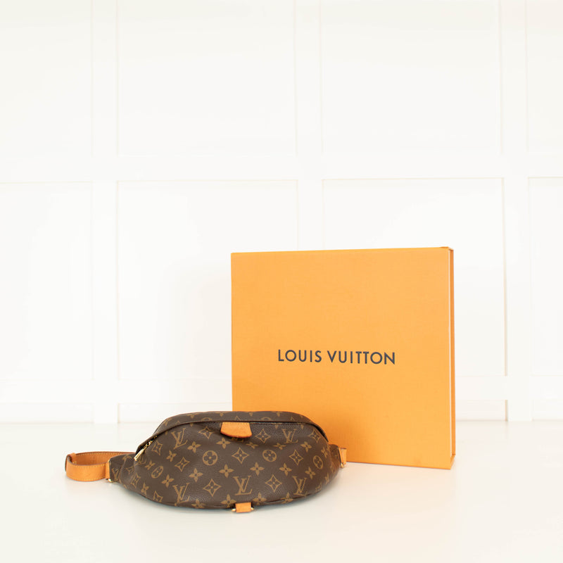 Louis Vuitton Monogram Canvas Belt Bag