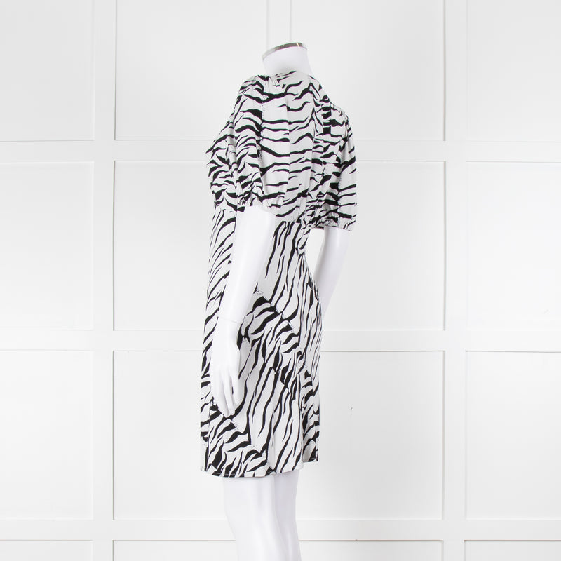 Rixo Zebra Print Puff Sleeve Mini Dress