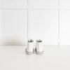 Gucci White Logo High Top Canvas Trainers