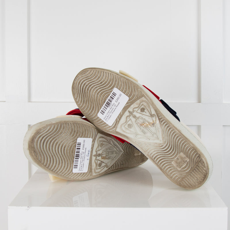 Gucci Cream Red Blue Ace Bow Trainers