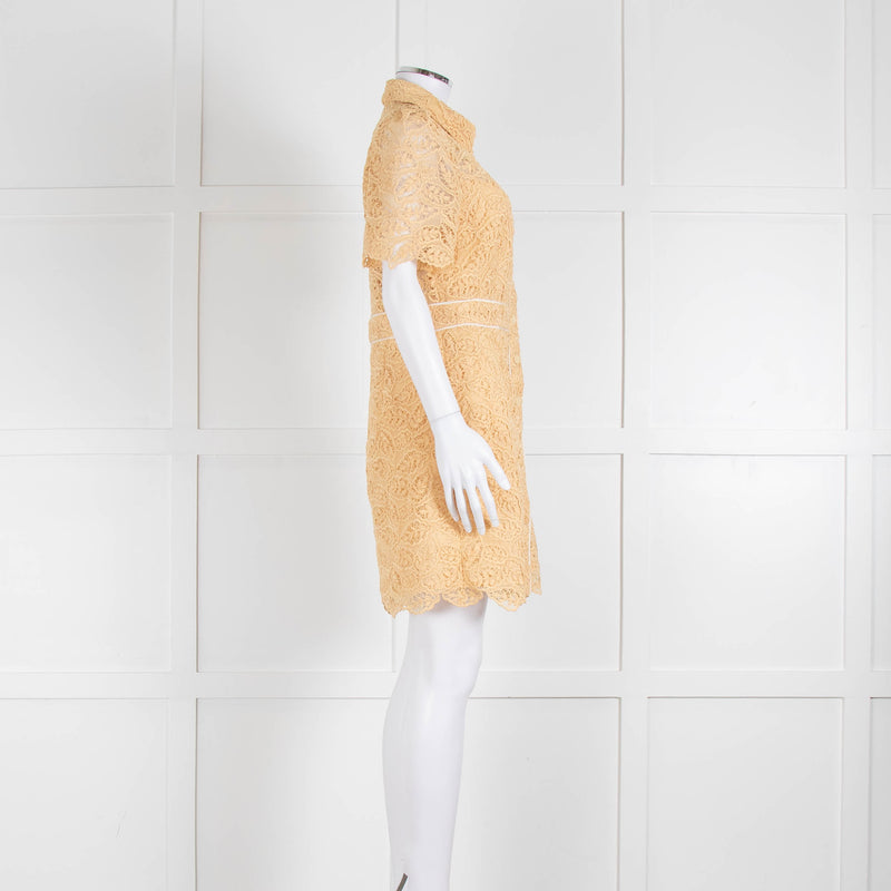 Sandro Yellow Lace Short Sleeve Shift Dress with Front Poppers