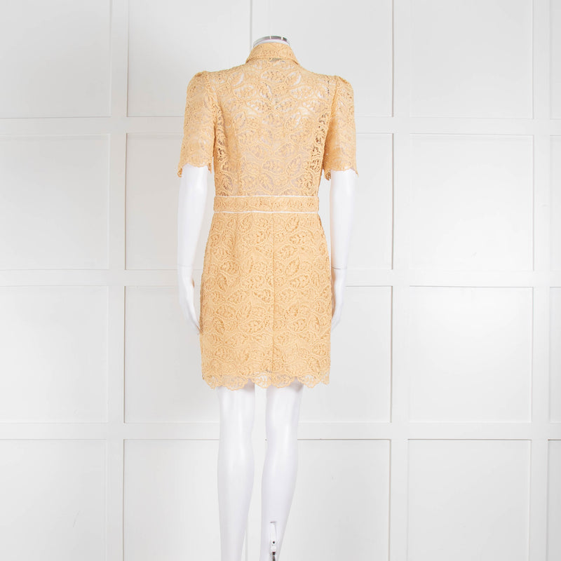 Sandro Yellow Lace Short Sleeve Shift Dress with Front Poppers
