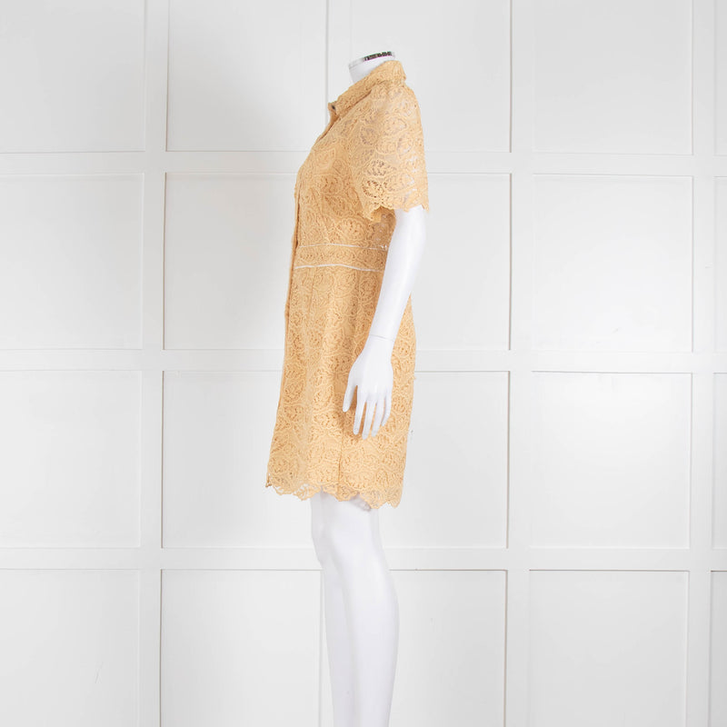Sandro Yellow Lace Short Sleeve Shift Dress with Front Poppers