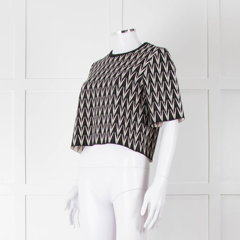 Alexander McQueen Black Cream Geometric Print Knit Top