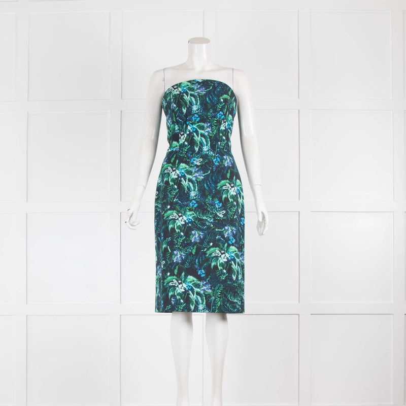 Erdem Stiff Cotton Strapless Dress