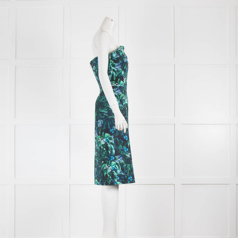 Erdem Stiff Cotton Strapless Dress