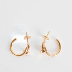 Cartier Juste Un Clou Earrings