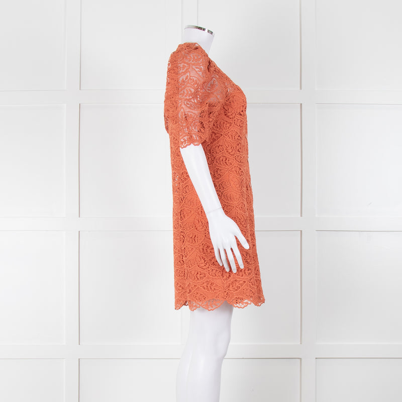 Sandro Orange Lace Short Sleeve Dress