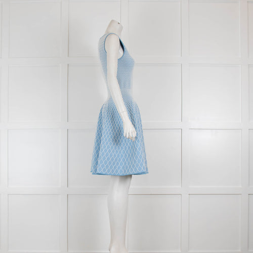 Antonino Valenti Blue and White Sleeveless shift Dress