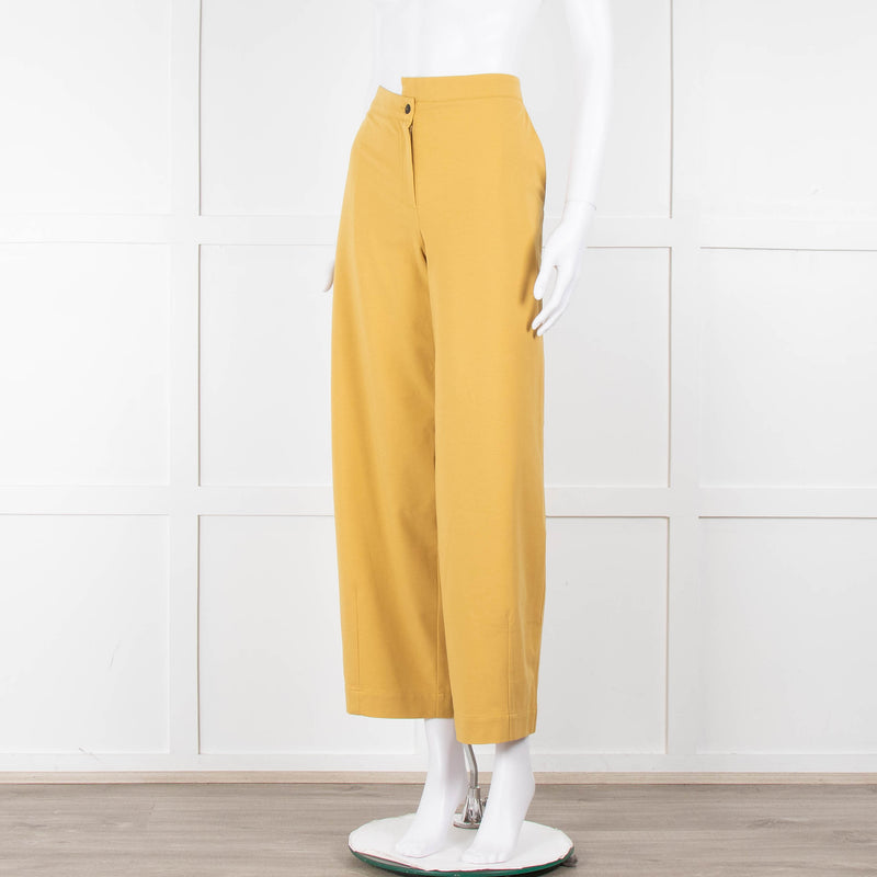 Sarah Pacini Mustard Wide Leg Trousers