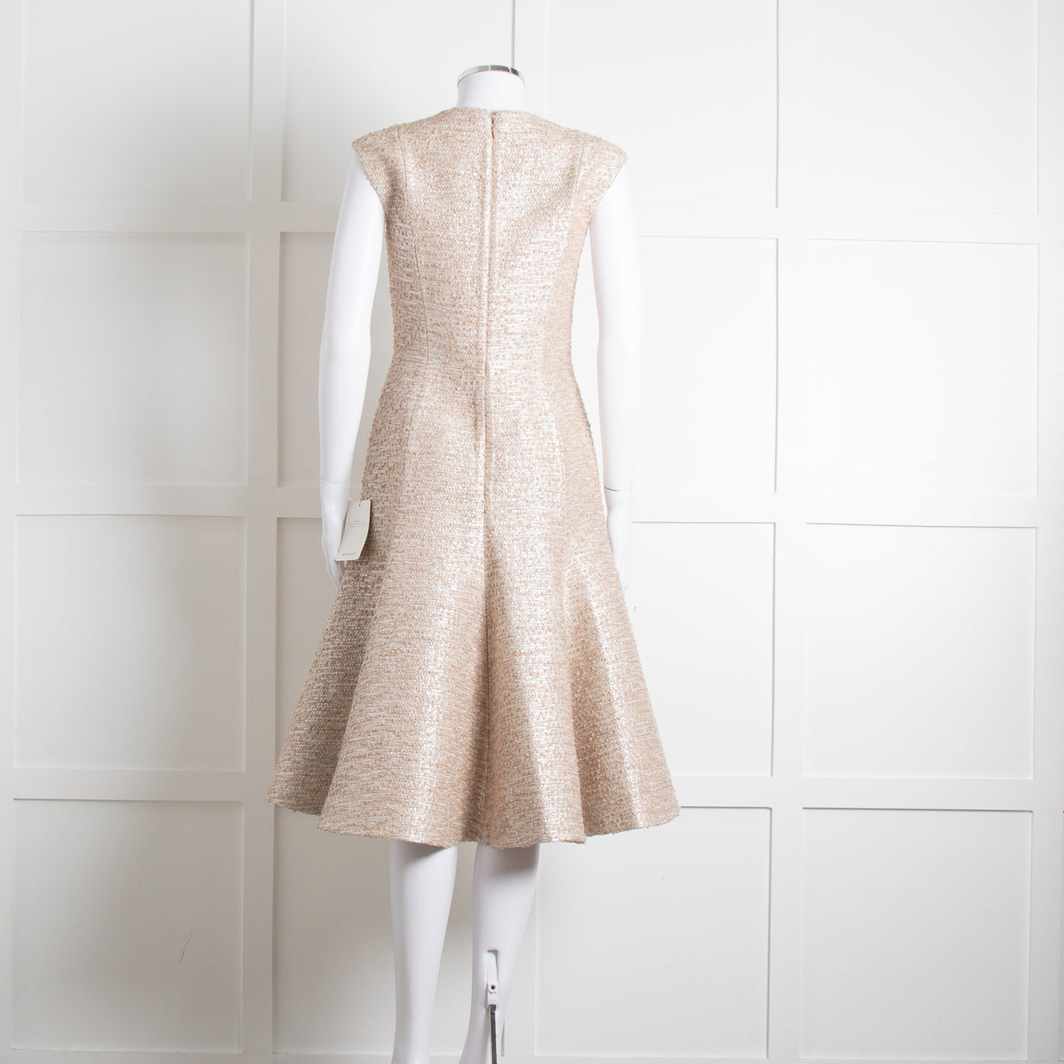 Emilia Wickstead Beige Silver Sleeveless Fit And Flare Dress