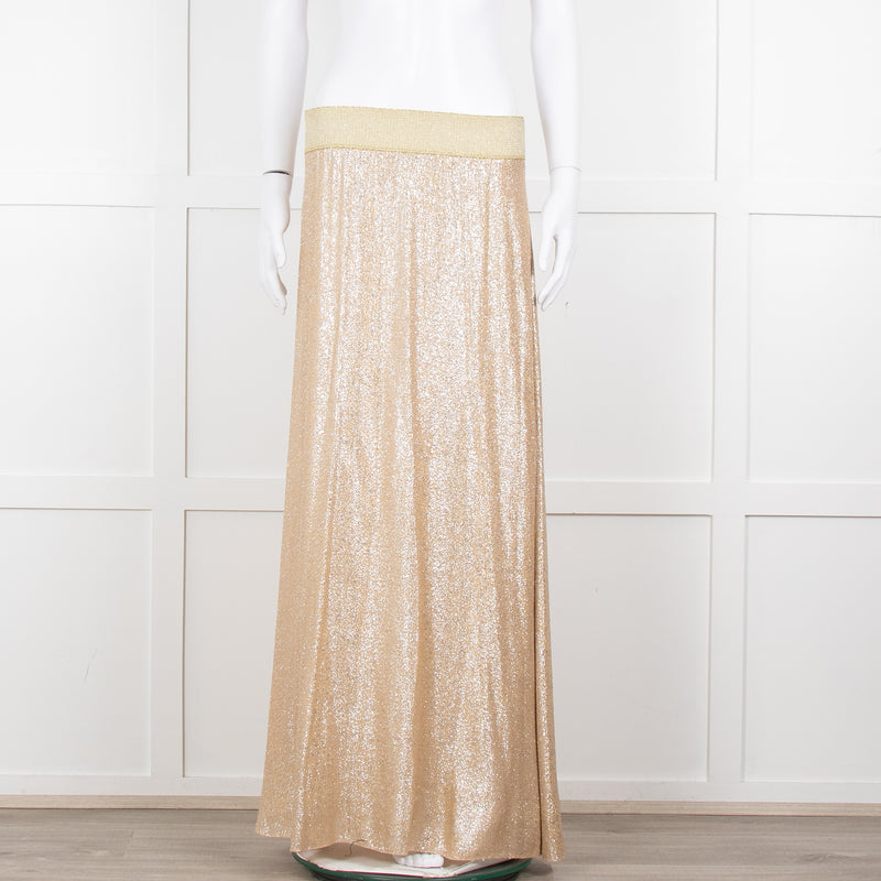 Marie France Van Damme Gold Silk Chiffon Maxi Skirt