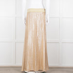 Marie France Van Damme Gold Silk Chiffon Maxi Skirt