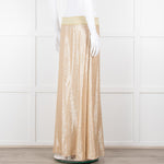 Marie France Van Damme Gold Silk Chiffon Maxi Skirt