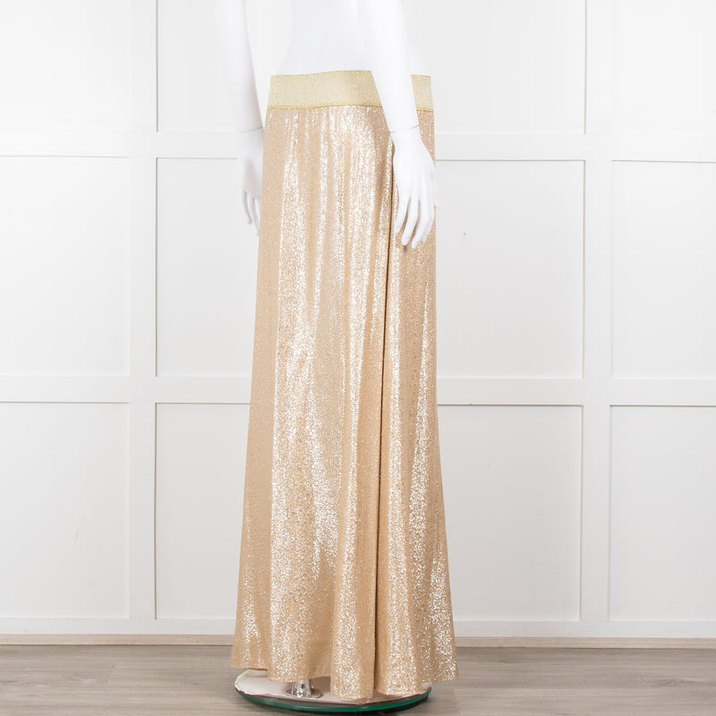 Marie France Van Damme Gold Silk Chiffon Maxi Skirt