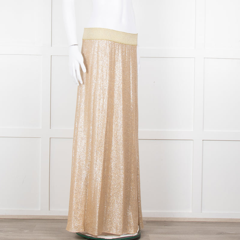 Marie France Van Damme Gold Silk Chiffon Maxi Skirt
