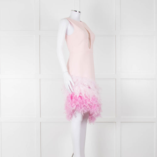 Silvia Navarro Pink Shift Dress With Graduated Pink Feather Hem