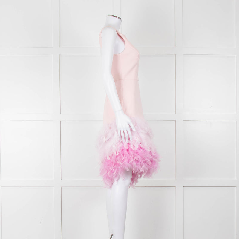 Silvia Navarro Pink Shift Dress With Graduated Pink Feather Hem