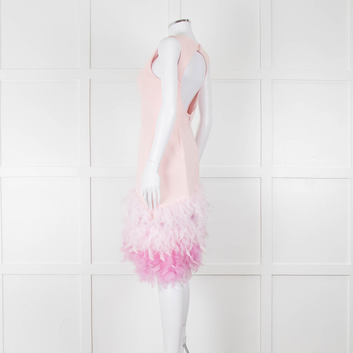 Silvia Navarro Pink Shift Dress With Graduated Pink Feather Hem