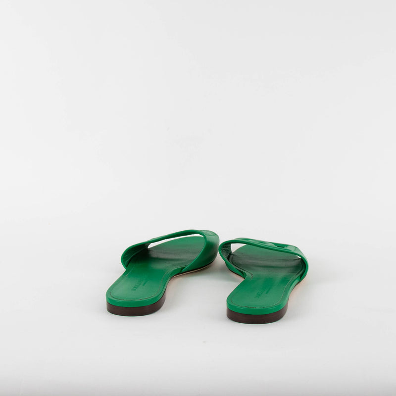 Dolce & Gabbana Green Calfskin Sliders