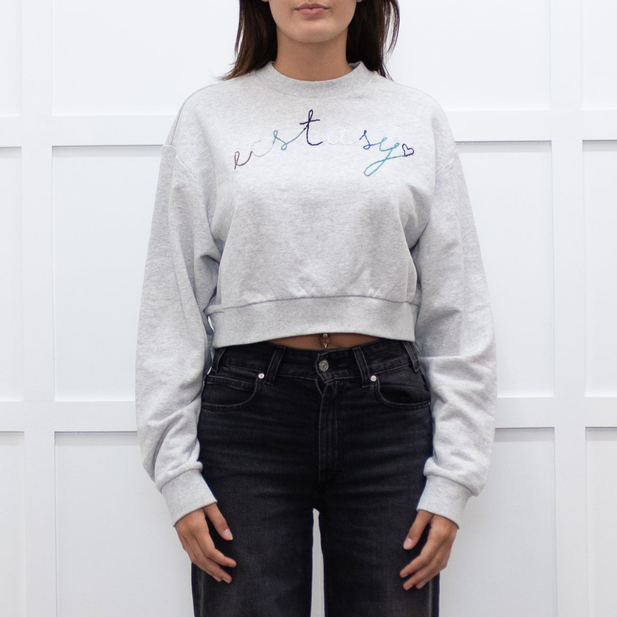 A.P.C Grey Ecstasy Embroidery Motif Cropped Sweatshirt