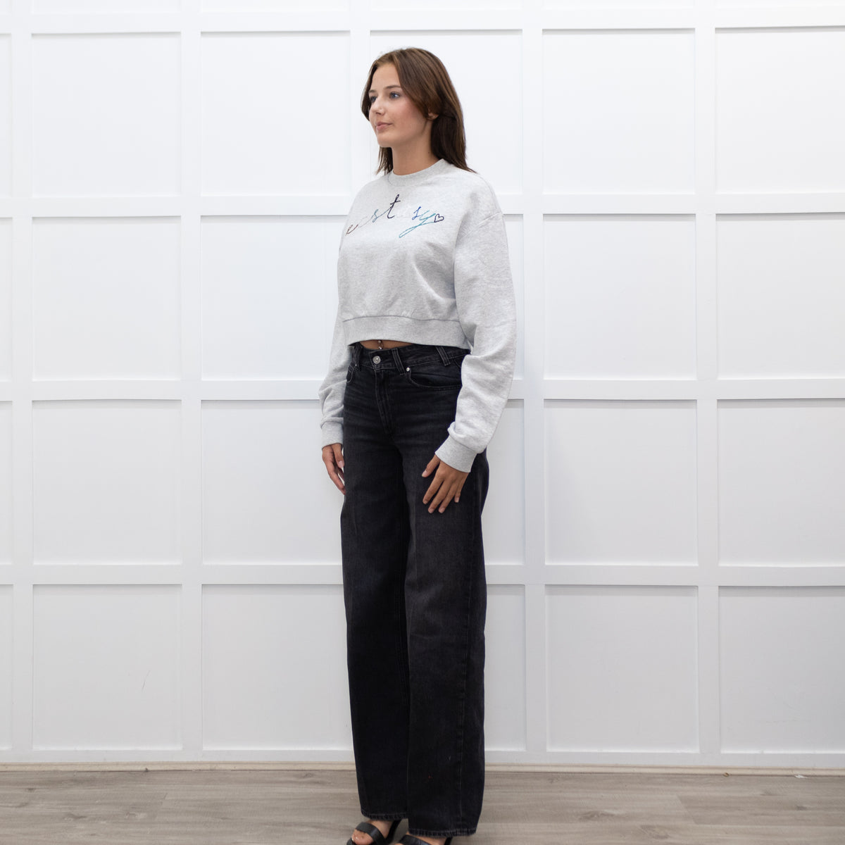 A.P.C Grey Ecstasy Embroidery Motif Cropped Sweatshirt