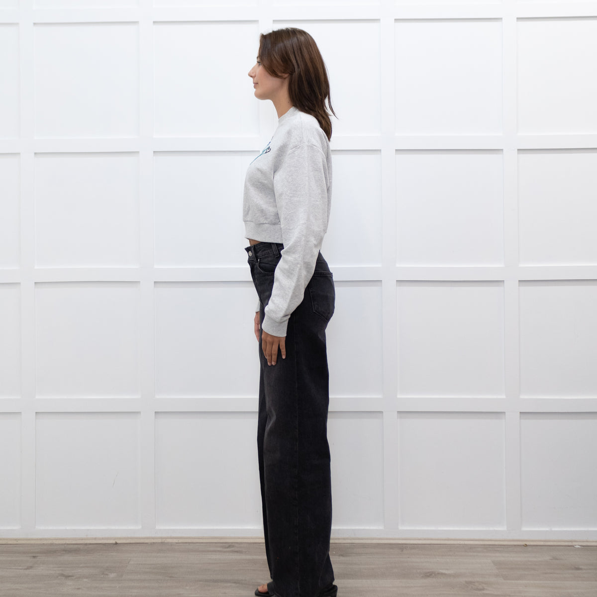 A.P.C Grey Ecstasy Embroidery Motif Cropped Sweatshirt