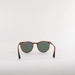 Taylor Morris Tortoiseshell George Arthur Sunglasses