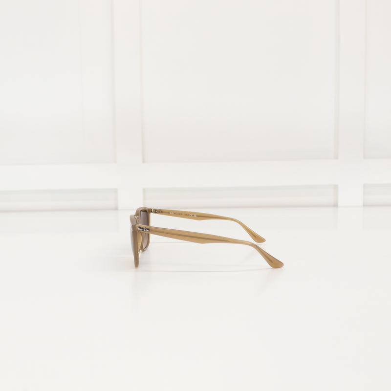 Ray- Ban Brown Acetate Sunglasses