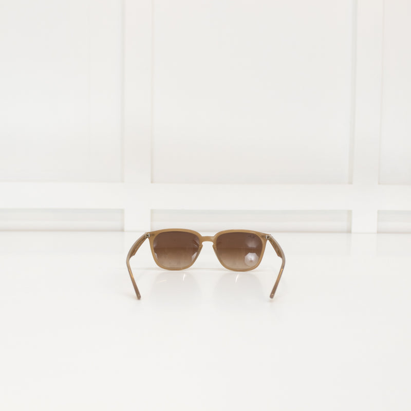 Ray- Ban Brown Acetate Sunglasses