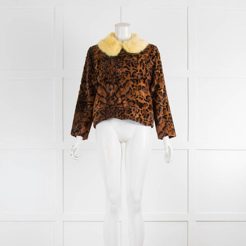 Shrimps Leopard Jacket Yellow Fur Collar – Phoenix Style