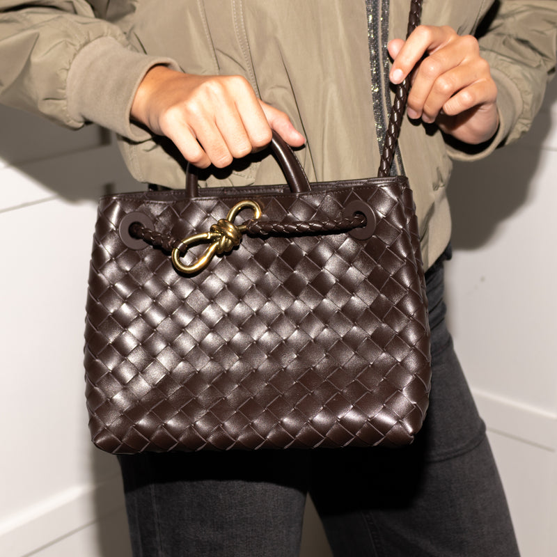 Bottega Veneta Small Brown Andiamo Bag