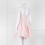 LoveShackFancy Pale Pink Ballerina Style Strapless Mini Dress