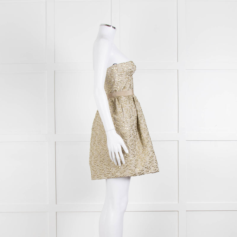 Marco Bologna Gold Jacquard Strapless Bustier Dress