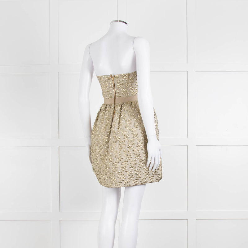 Marco Bologna Gold Jacquard Strapless Bustier Dress