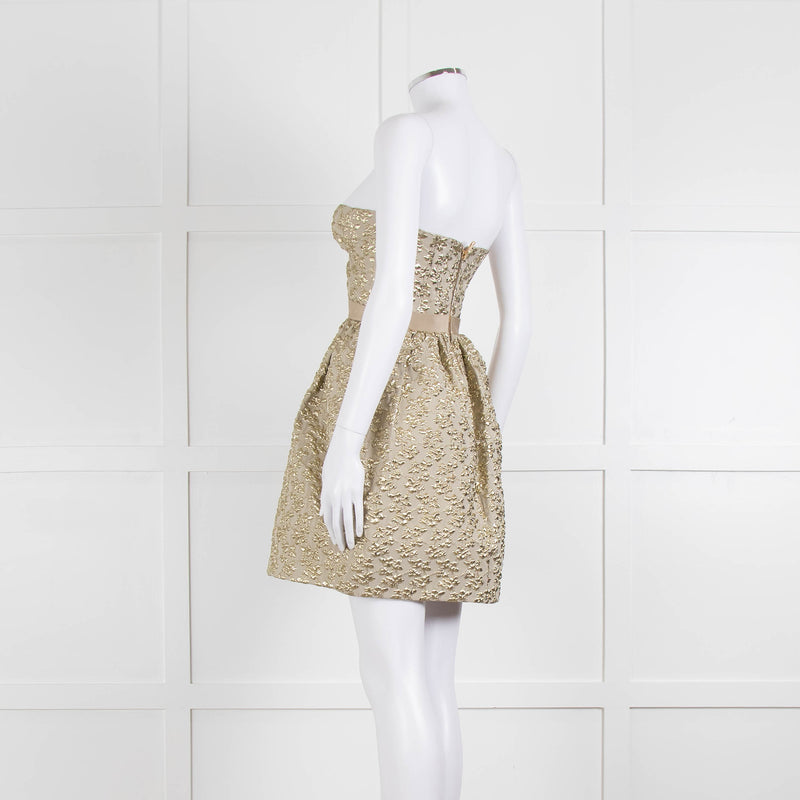 Marco Bologna Gold Jacquard Strapless Bustier Dress