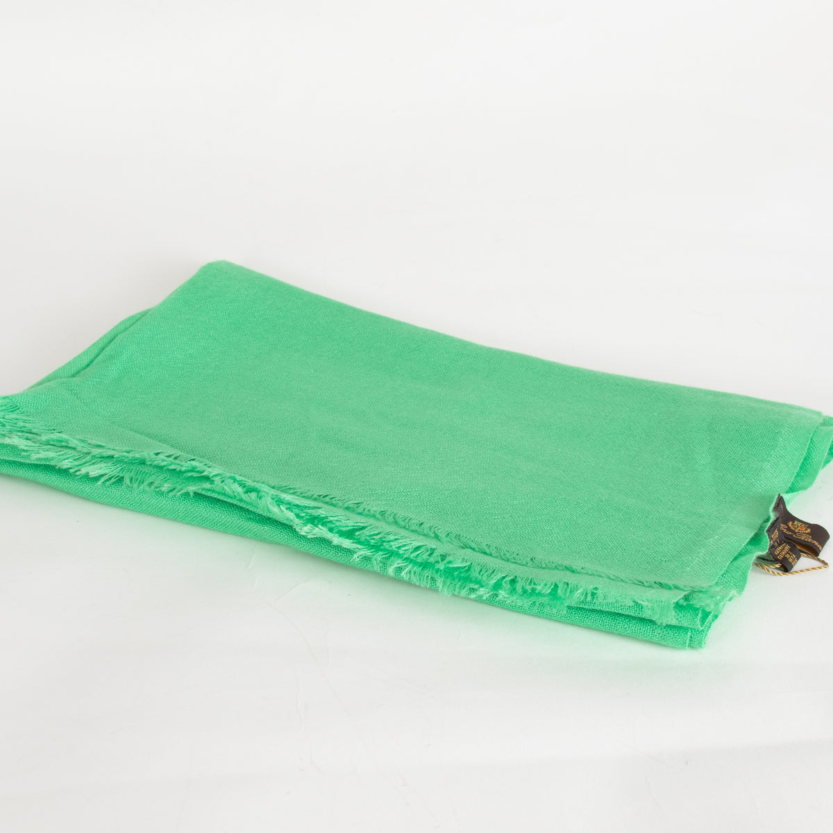 Loro Piana Mint Green Cashmere Woven Scarf