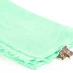 Loro Piana Mint Green Cashmere Woven Scarf