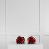 Dolce & Gabbana Red Velvet Sipper With Embellishments