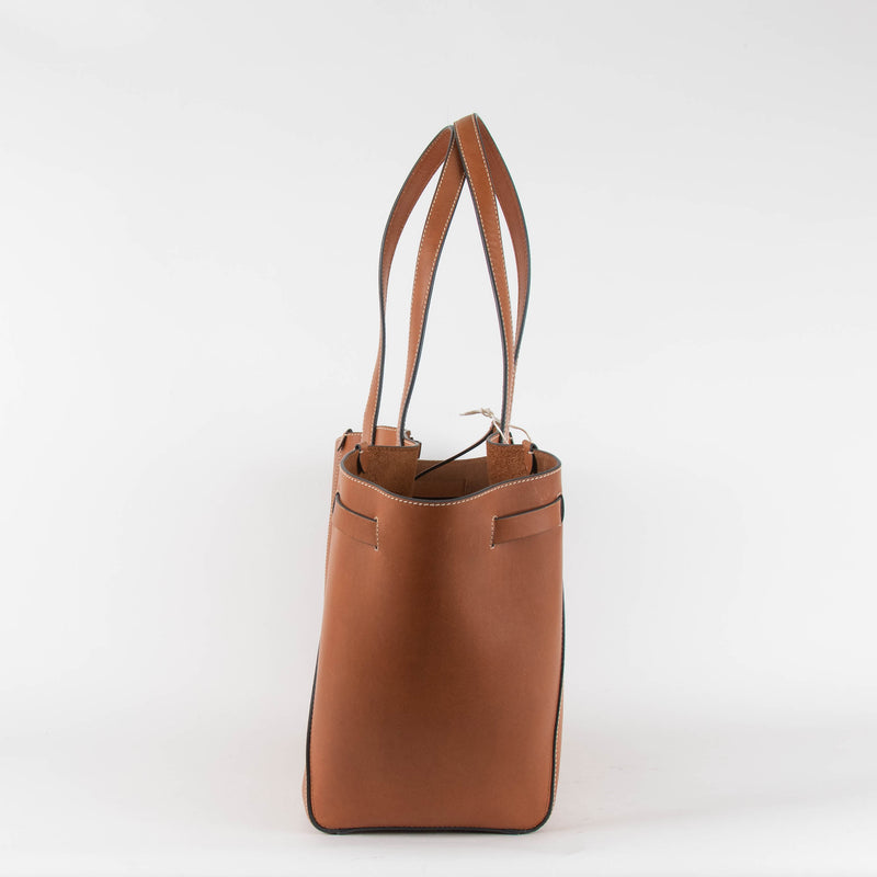 Anya Hindmarch Return To Earth Tote in Tan