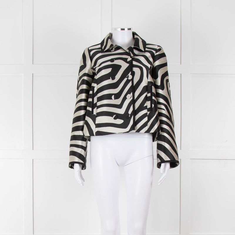 Paule Ka Black and Cream Zebra Frock Jacket