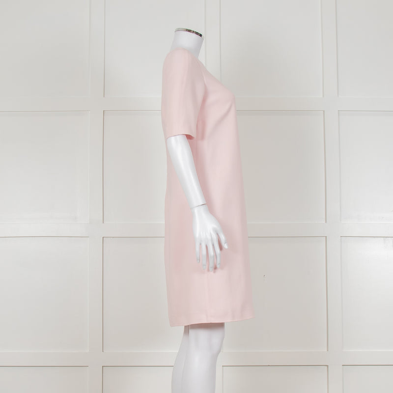 D Exterior Pink Dress With Yellow Pleated Insert