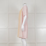 D Exterior Pink Dress With Yellow Pleated Insert