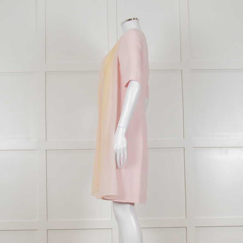 D Exterior Pink Dress With Yellow Pleated Insert