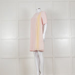 D Exterior Pink Dress With Yellow Pleated Insert
